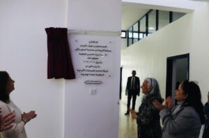 Special education programme milestone